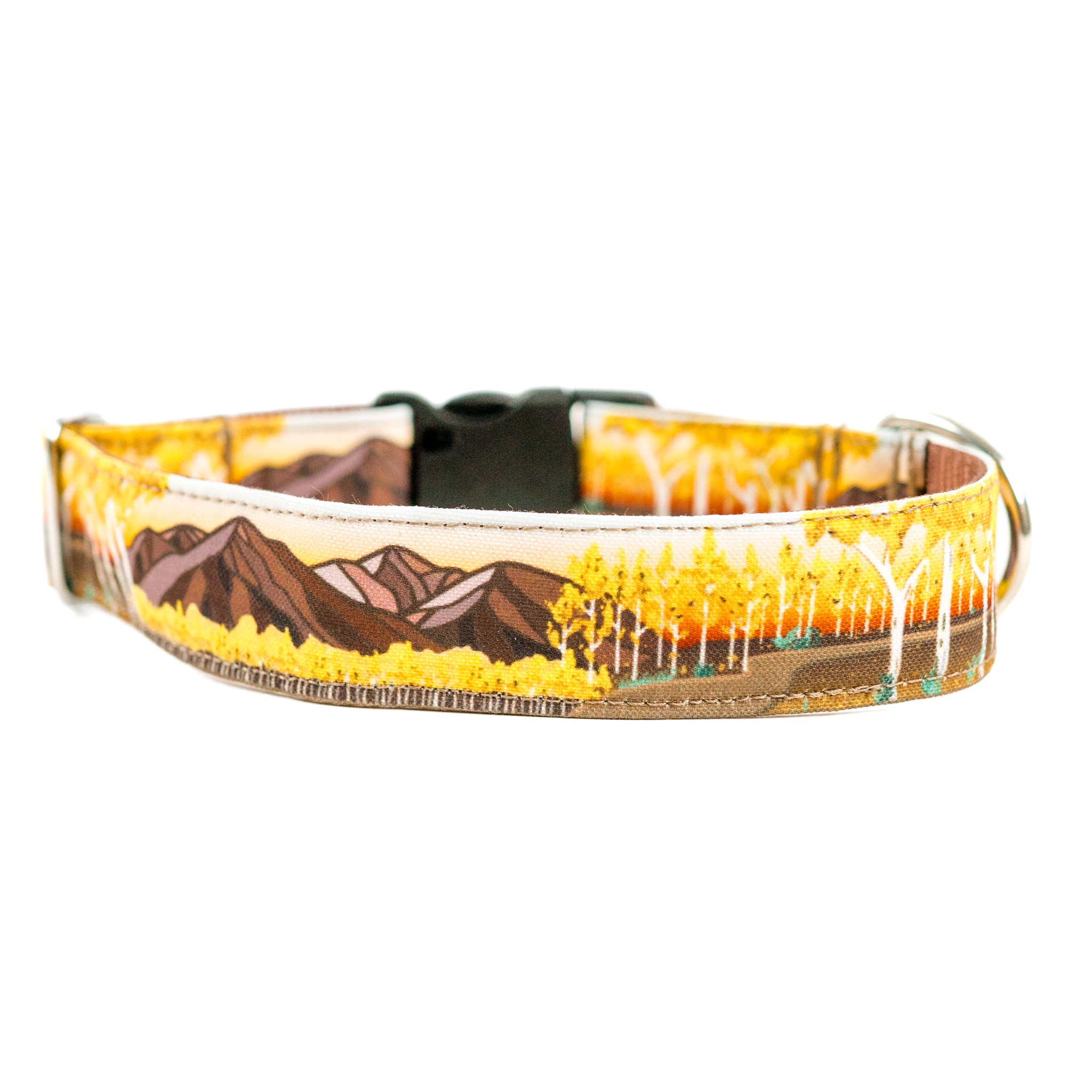 Fall Leaves Dog Collar