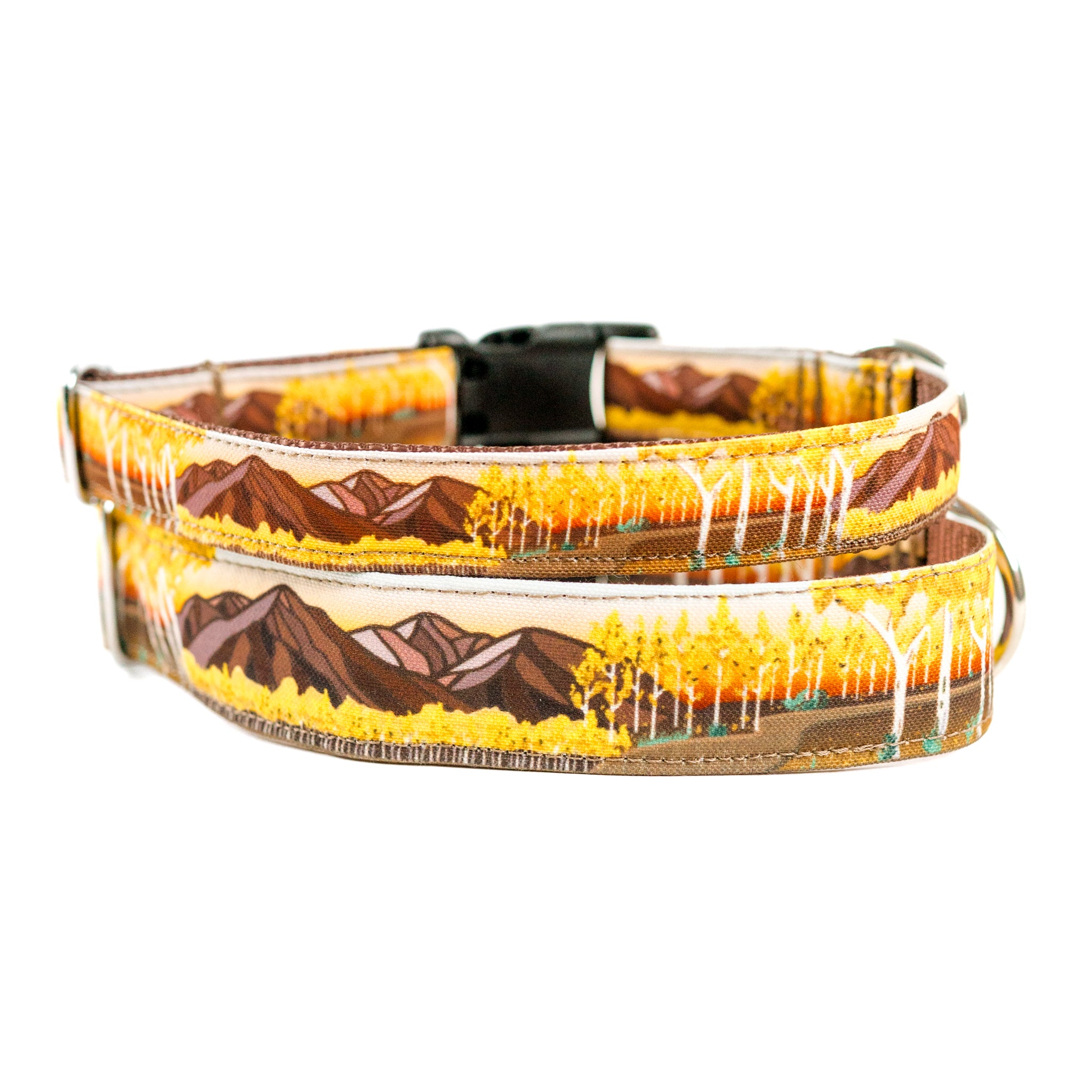 Colorado Mountain Dog Collars