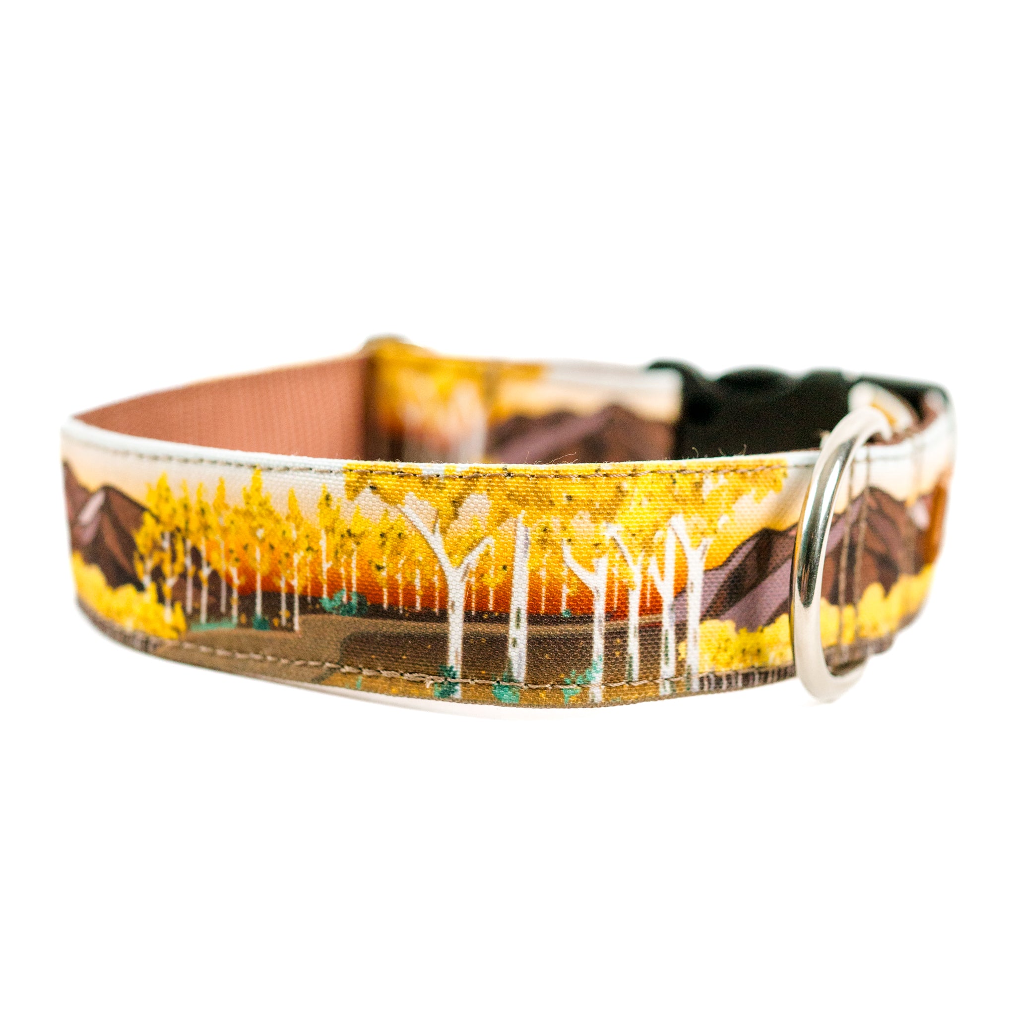Fall Leaves Dog Collar