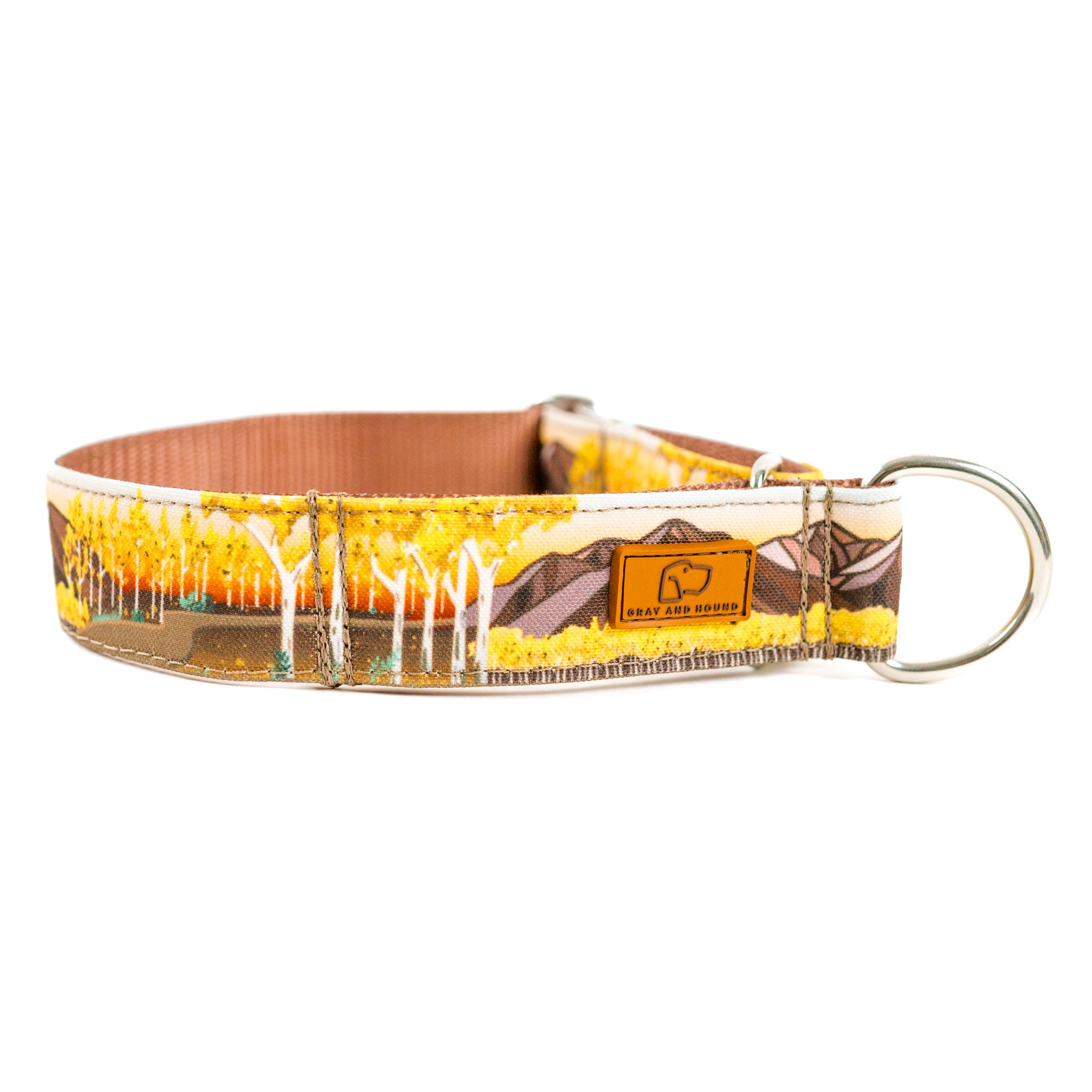 Colorado Mountain Martingale Dog Collar