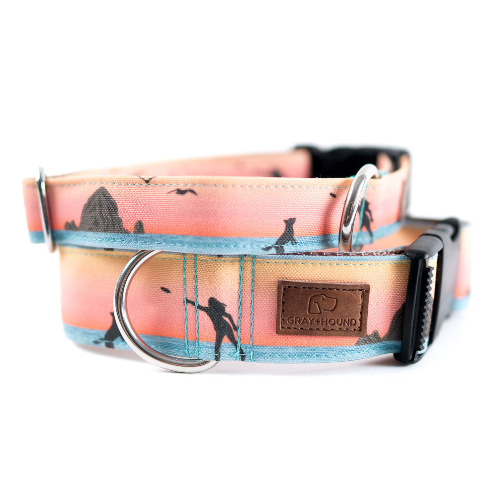 Sunset Frisbee Dog Collar