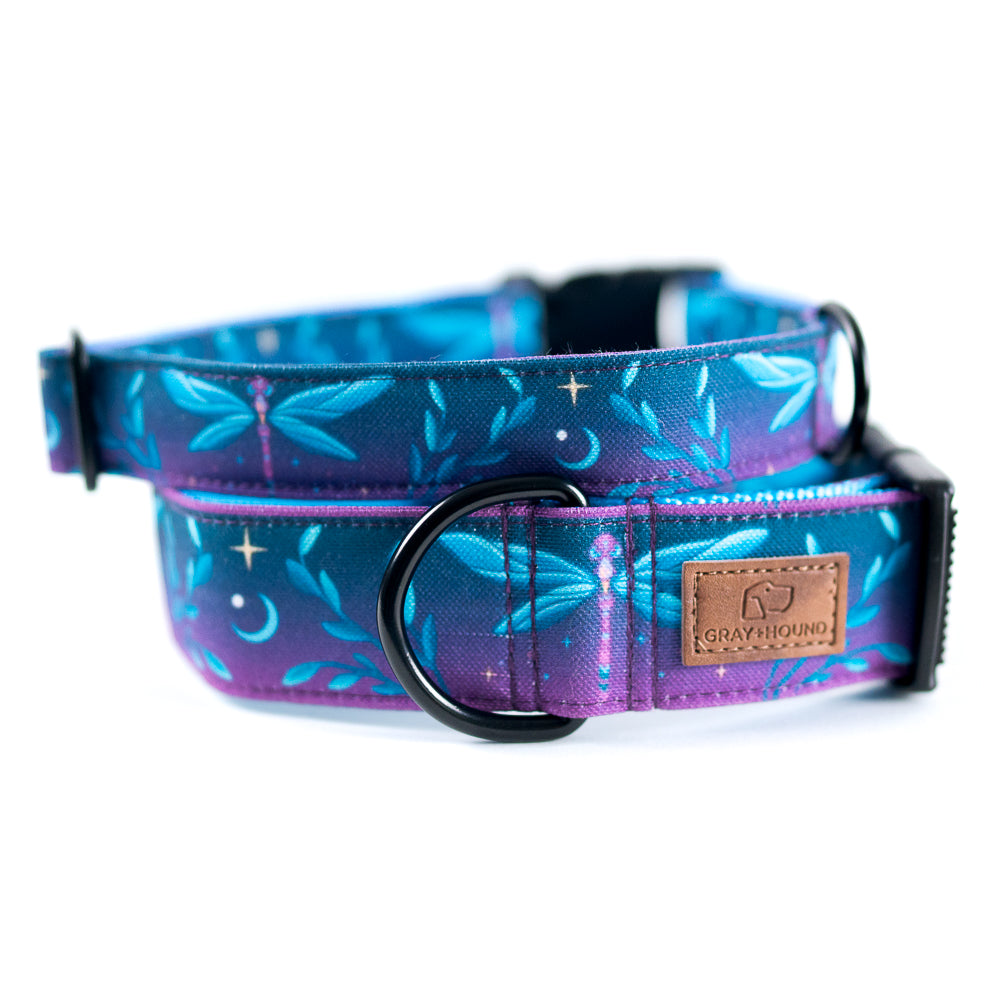 Blue and Purple Dragonfly Dog Collar