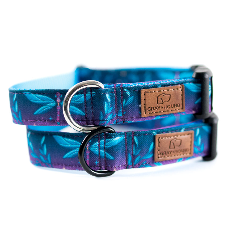Blue and Purple Dragonfly Dog Collar