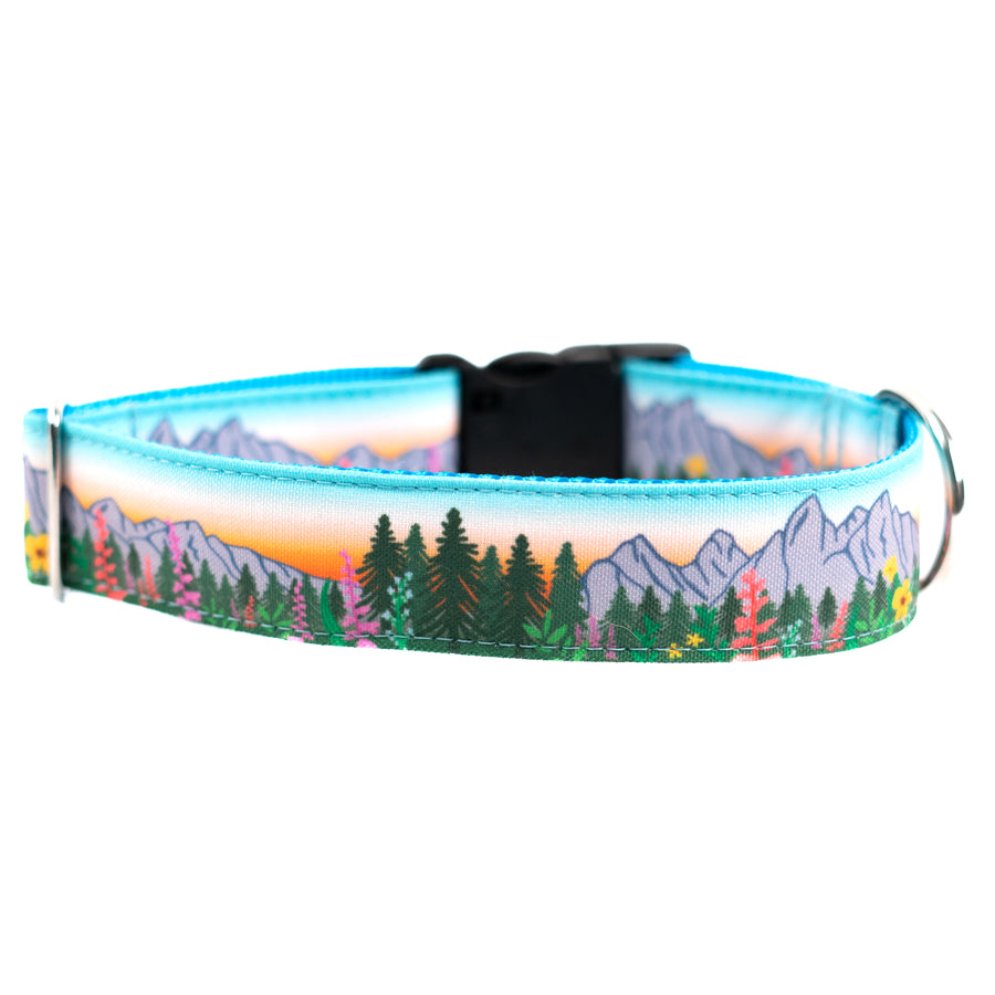 Teton Sunrise Dog Collar