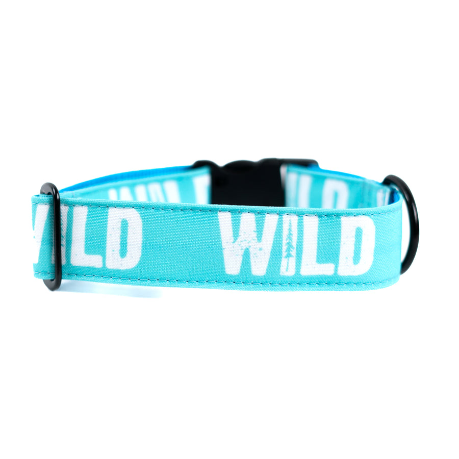 Teal WILD Dog Collar