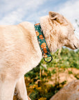 Husky Dog wearing Green Floral Dog Collar