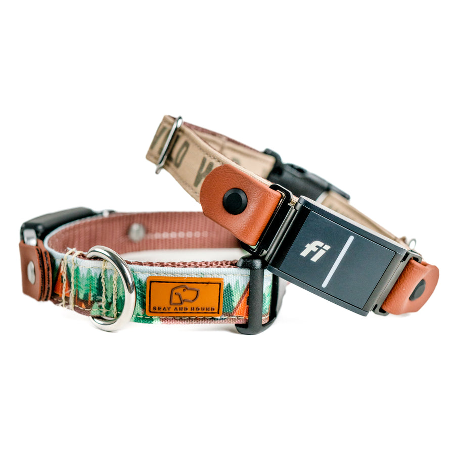 Fi Compatible Dog Collar for Series 3