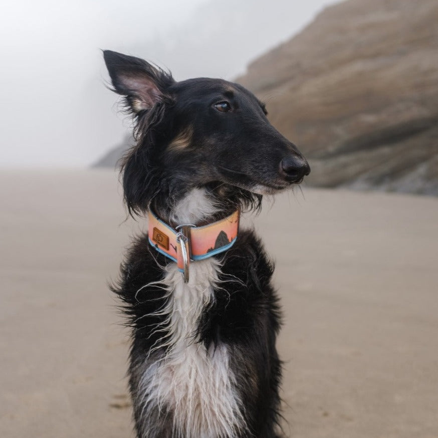 Cannon Beach Collar