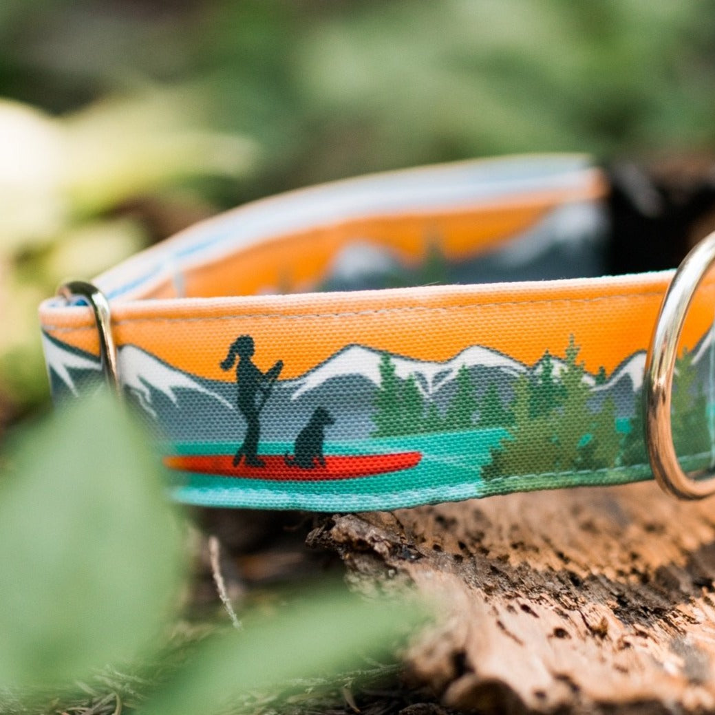 Alpine Lake Paddle Board Dog Collar