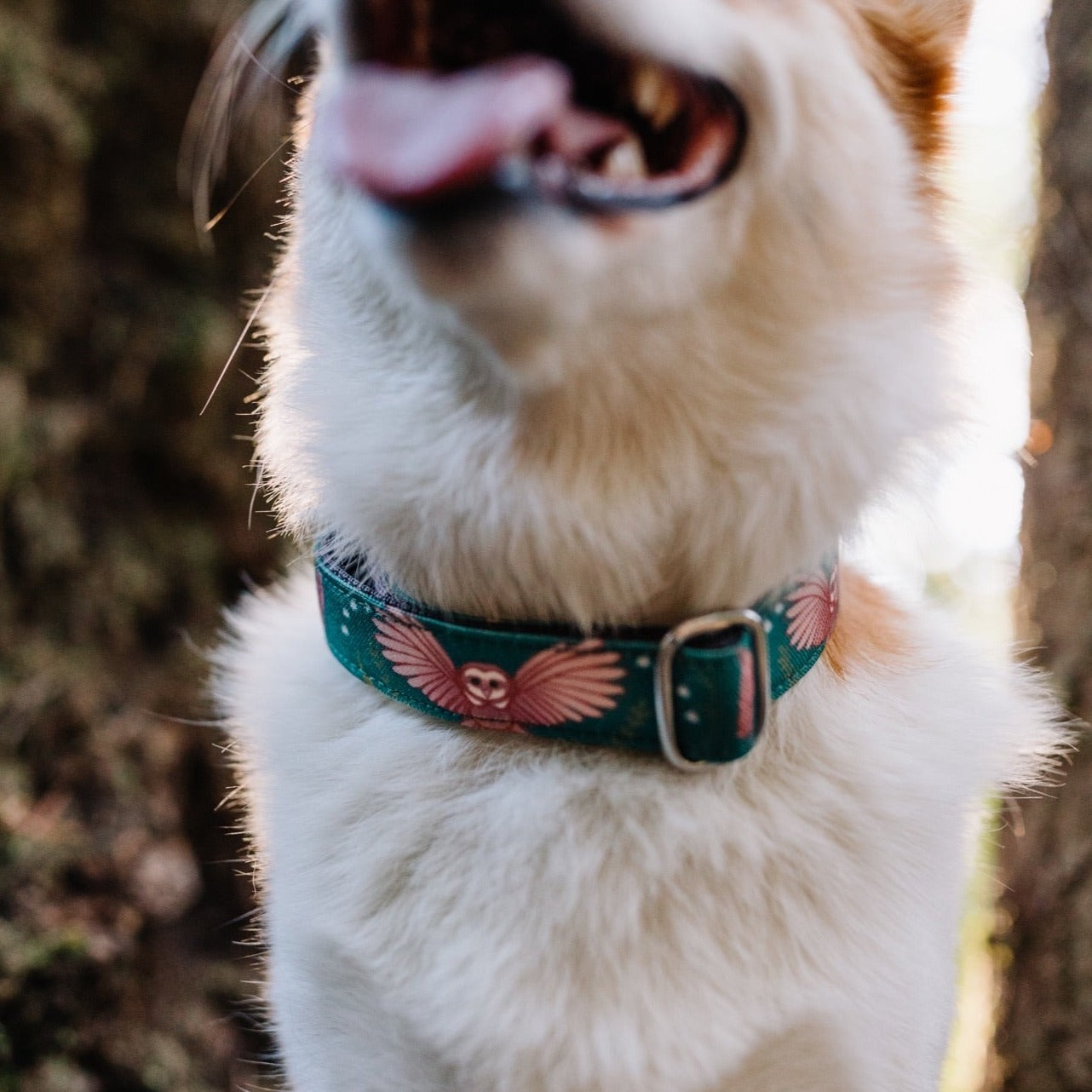 Emerald Owl Collar