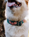 Emerald Owl Dog Collar