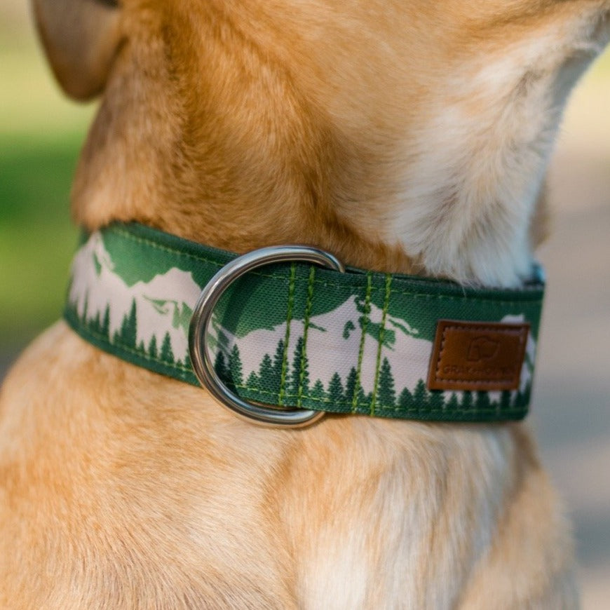 Green Mountain Dog Collar