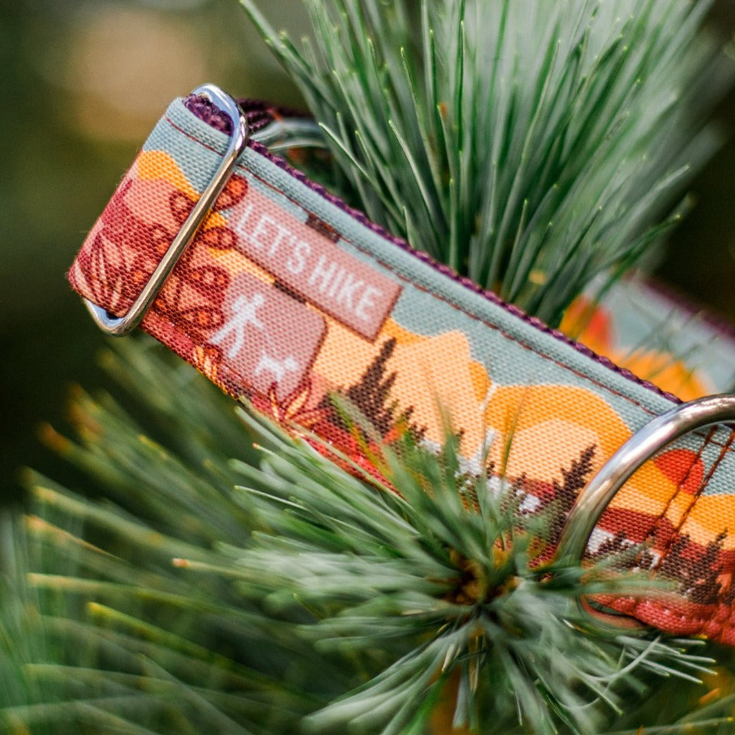 Hiking Dog Collar