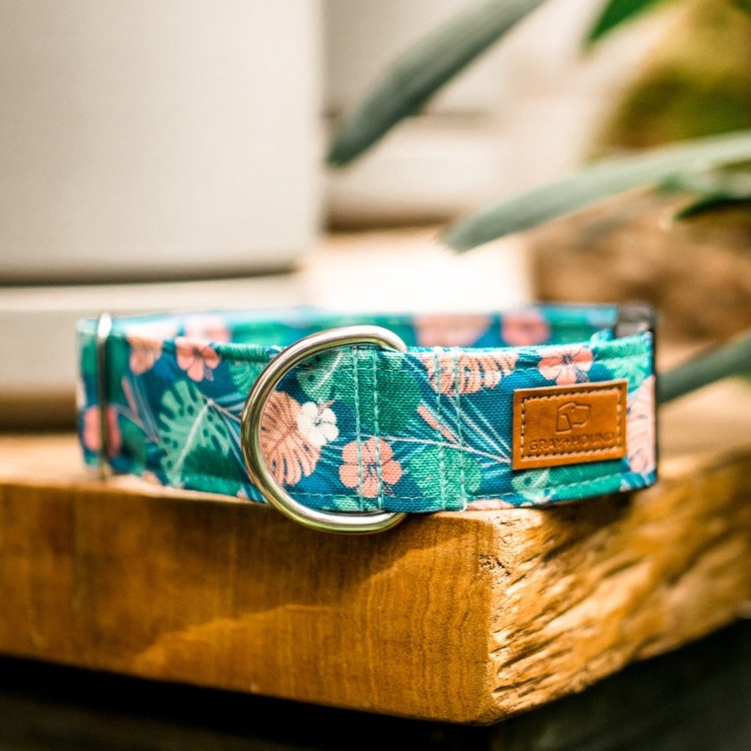 Tropical Monstera Plant Dog Collar