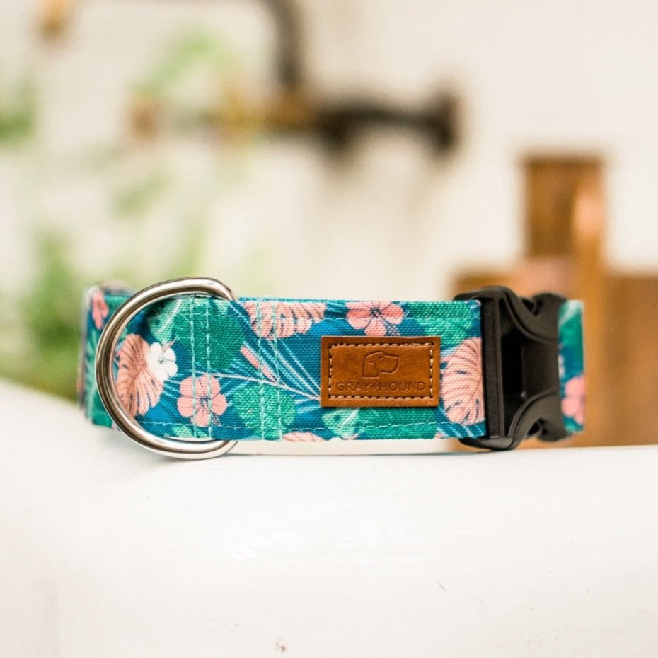 Tropical Monstera Plant Dog Collar