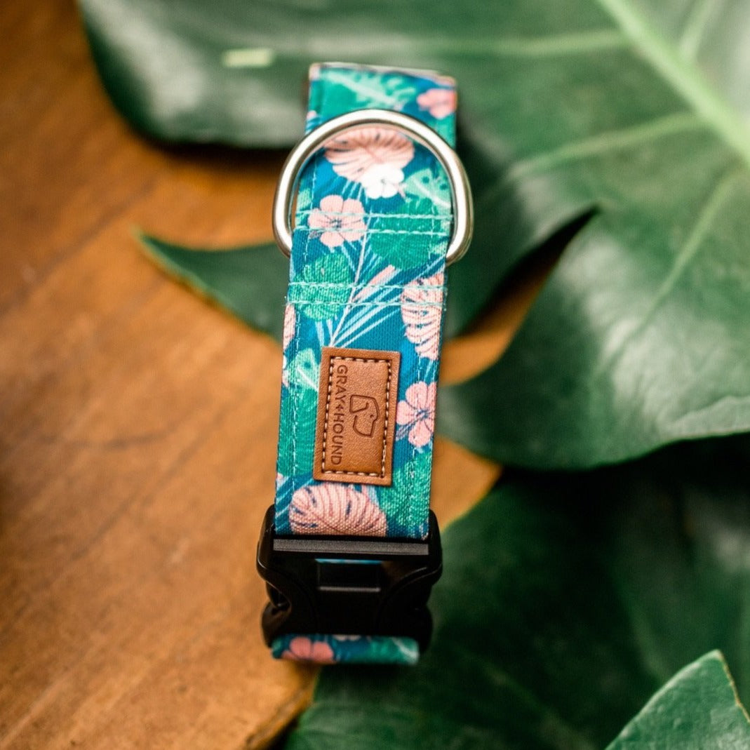 Tropical Monstera Plant Dog Collar