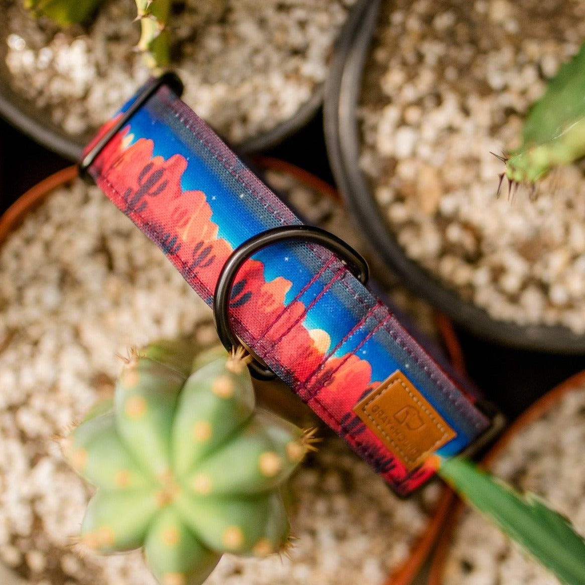 Red Rock Desert Night Sky Dog Collar