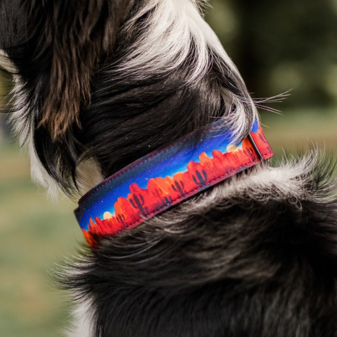 Red Rock Desert Night Sky Dog Collar
