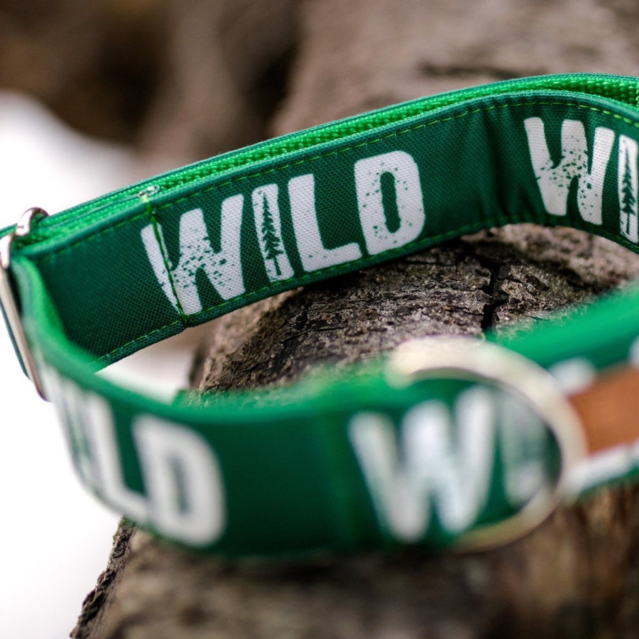Pine Green Wild Dog Collar