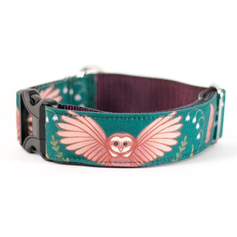 Pink and Teal Owl Dog Collar