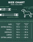 Plastic Buckle Dog Collar Two Pack (choose your designs)