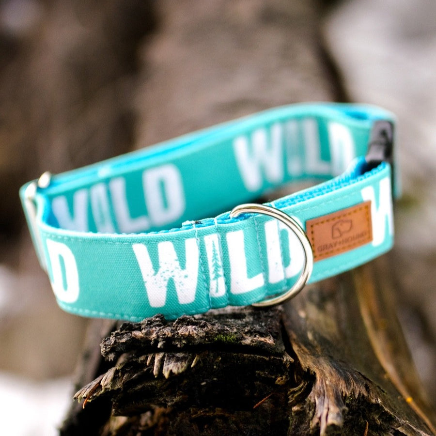 Teal Wild Dog Collar