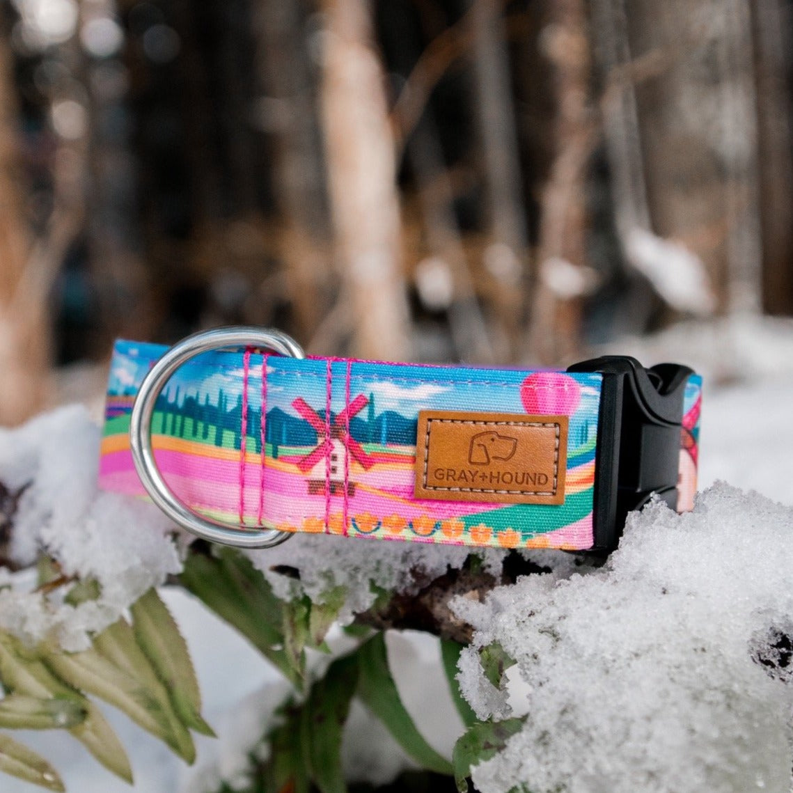 Tulip Dog Collar