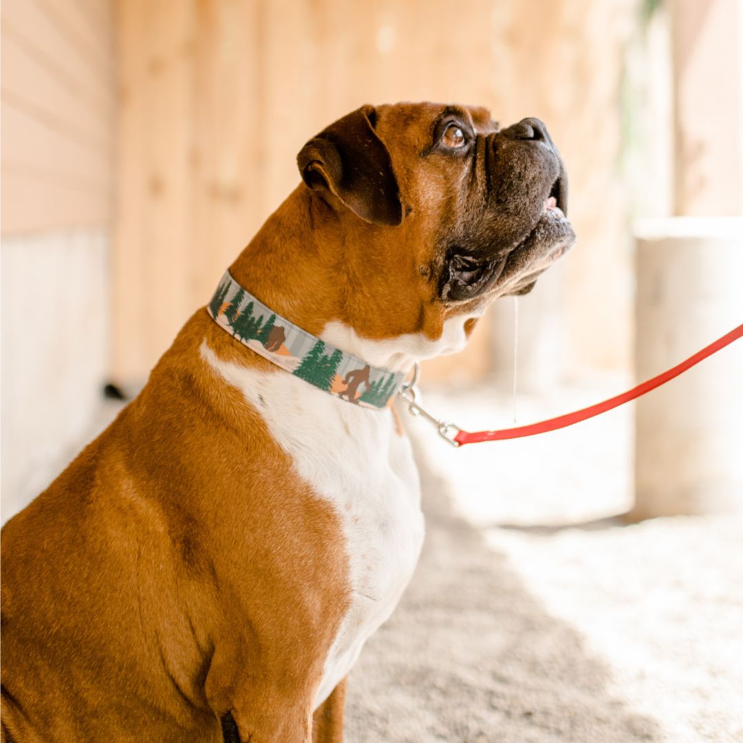 Bigfoot Collar