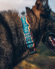 Desert Wolf Dog Collar | Artist Series