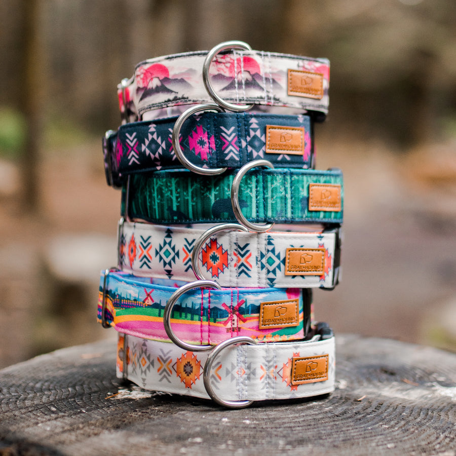 Forest Dog Collar | Hiking Dog Collar – GrayandHound